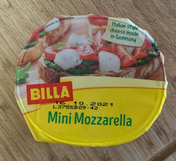 Fotografie - mini mozzarella BILLA