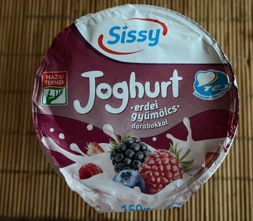 Fotografie - Joghurt Erdei gyümölcsdarabokkal Sissy