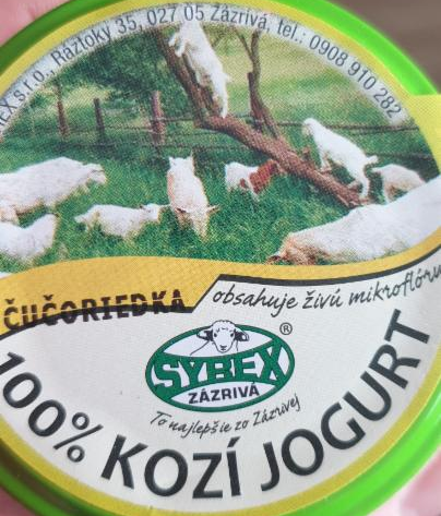 Fotografie - kozi jogurt 100 % cucoriedka Syrex