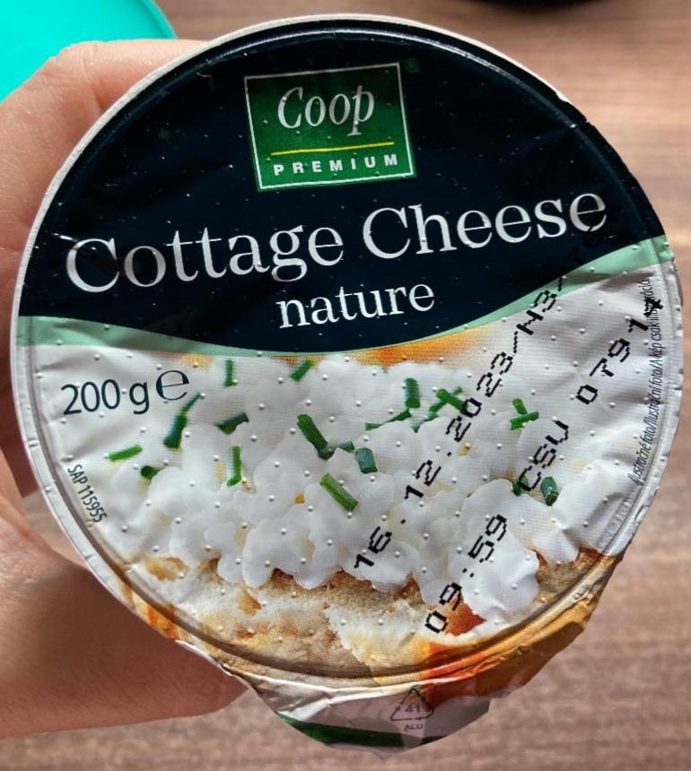 Fotografie - Cottage Cheese nature Coop Premium