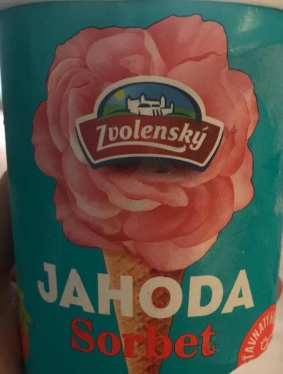 Fotografie - Jahoda sorbet Zvolenský