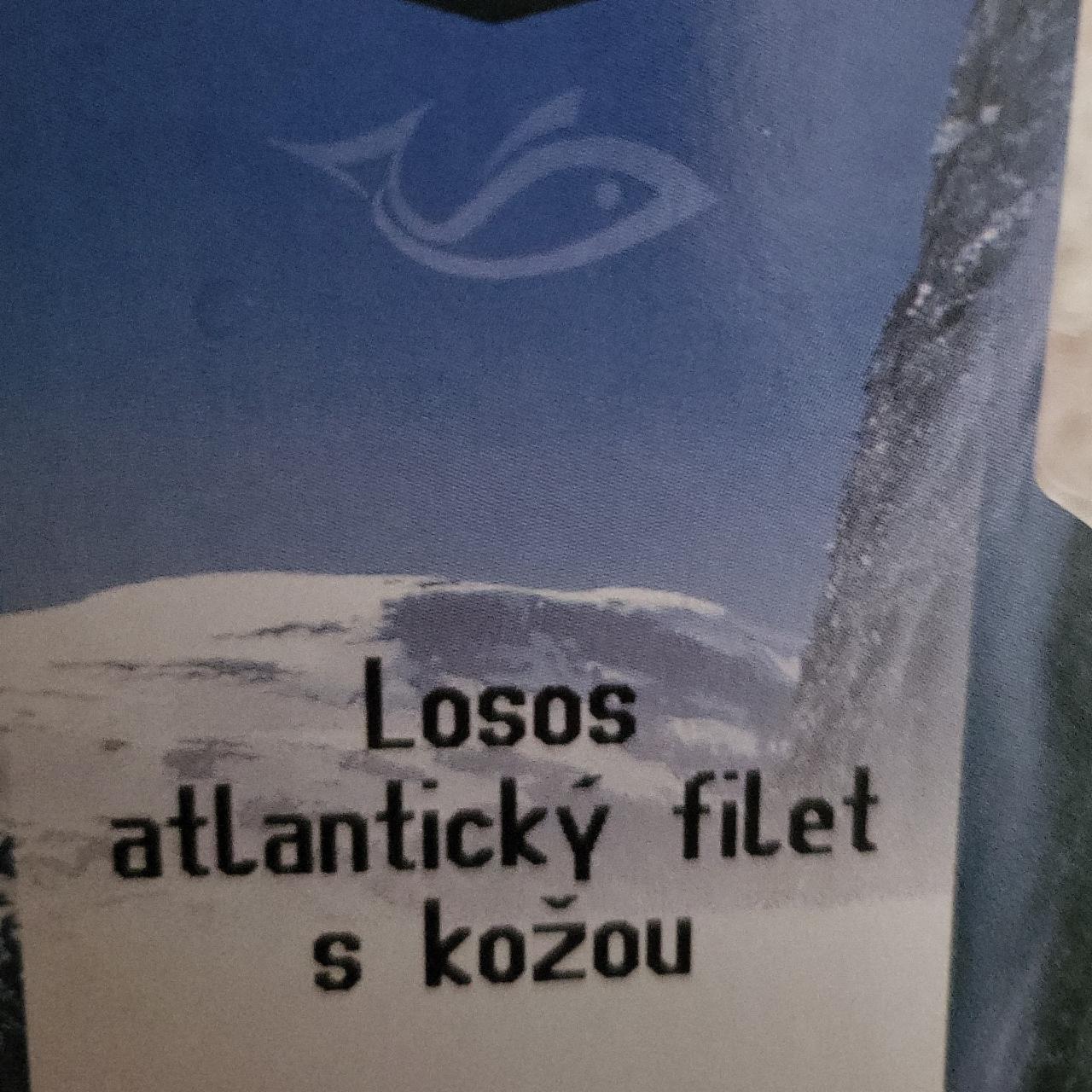 Fotografie - Losos atlanticky filet s kozou