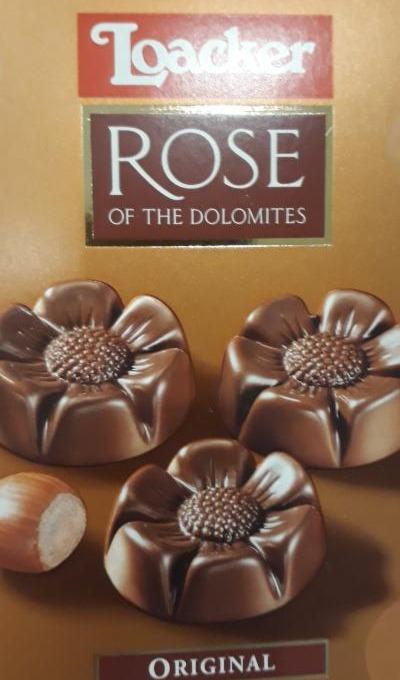 Fotografie - rose of the dolomites