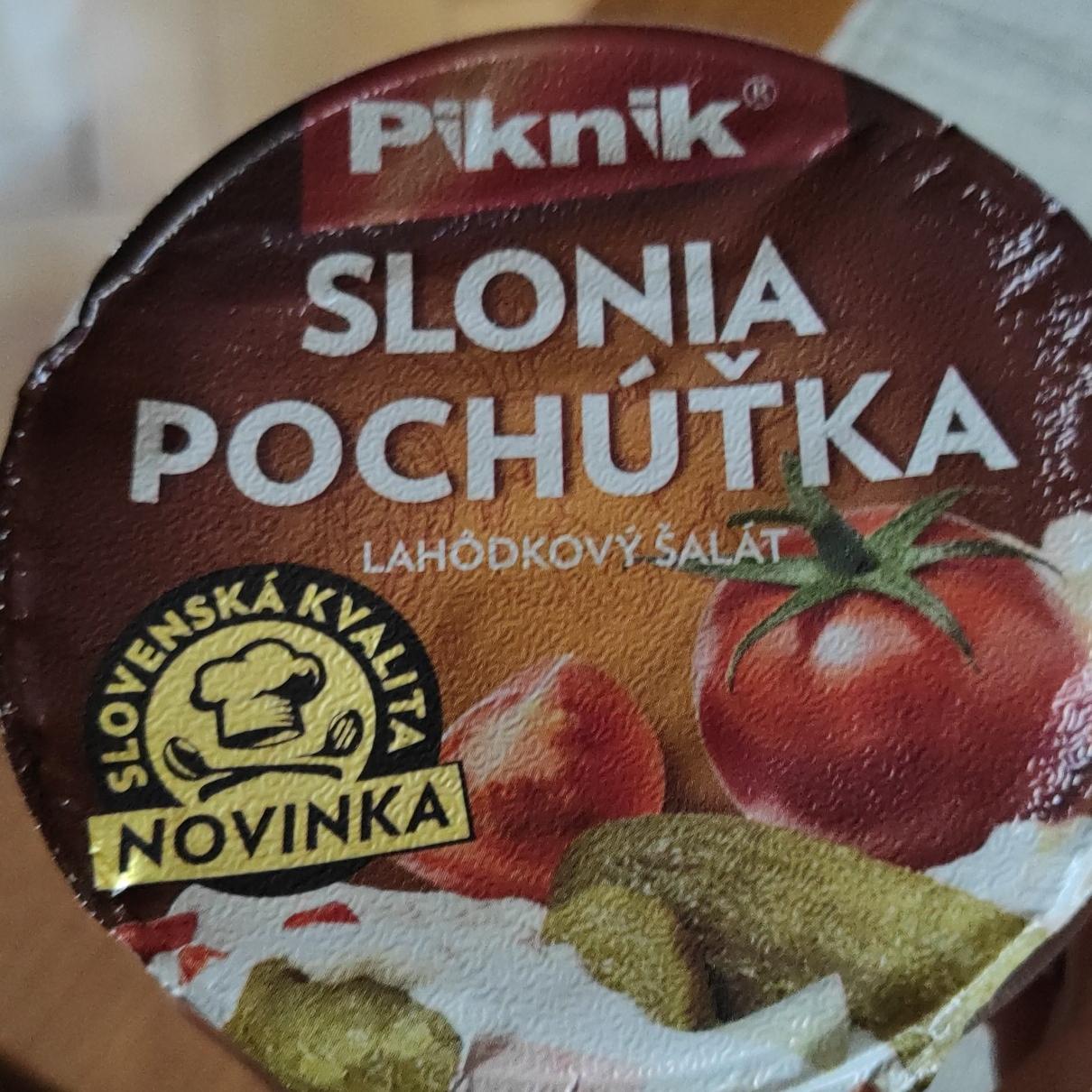 Fotografie - Slonia pochúťka Piknik