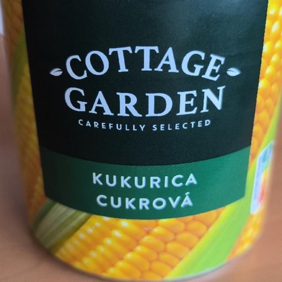 Fotografie - Kukurica cukrová Cottage Garden