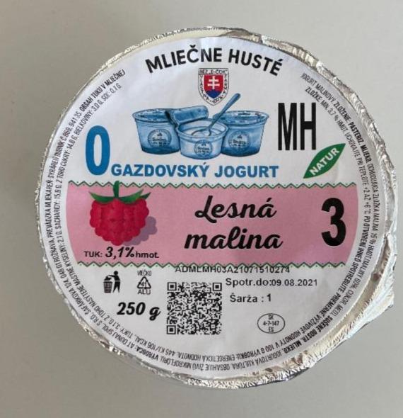 Fotografie - gazdovský jogurt lesna malina 3,1%