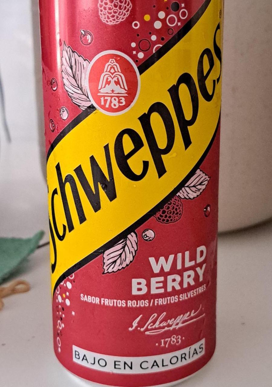 Fotografie - Schweppes Wild Berry