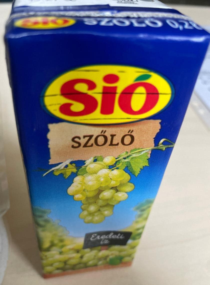 Fotografie - Sió szölö 25% hrozno white grape