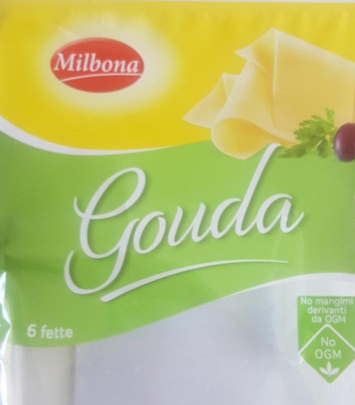 Fotografie - Gouda Milbona