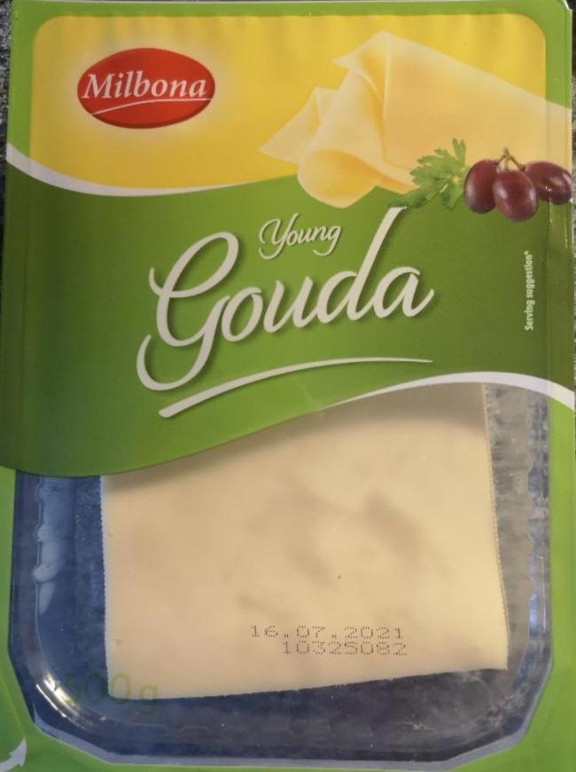 Fotografie - Young Gouda Milbona