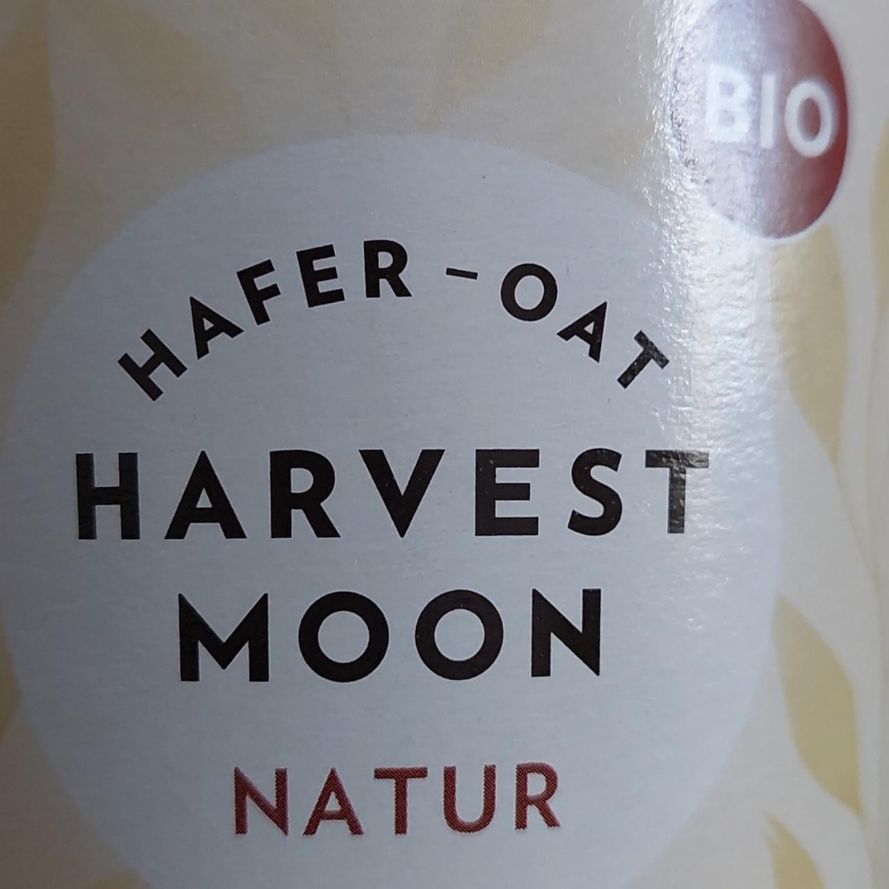 Fotografie - Hafer-Oat Natur Harvest Moon