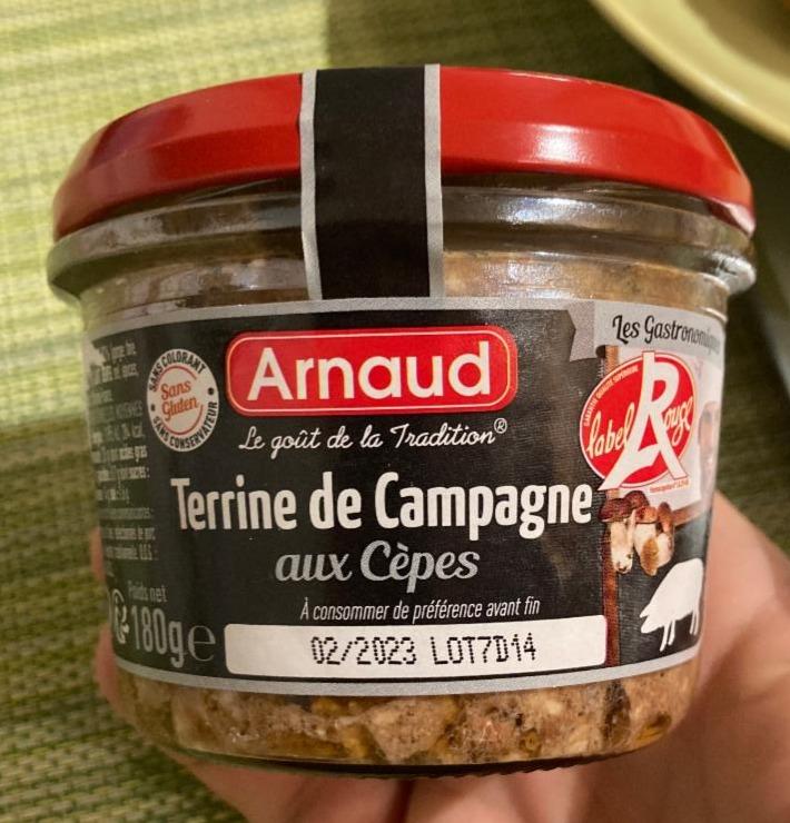 Fotografie - Terrine de Campagne aux Cèpes