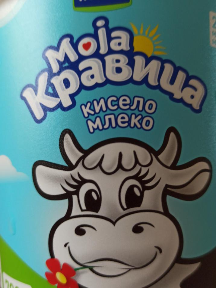 Fotografie - Moja Kravica kiselo mleko 2,8%