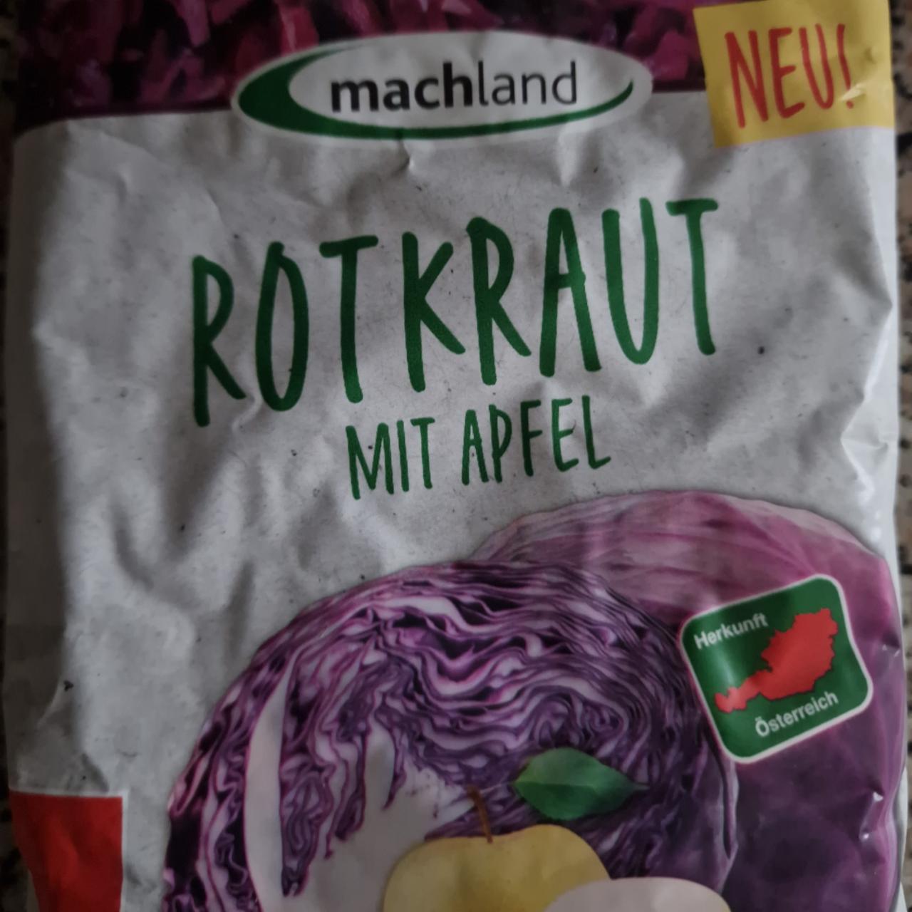 Fotografie - Rotkraut mit Apfel Machland