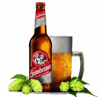 Fotografie - Gambrinus Dry