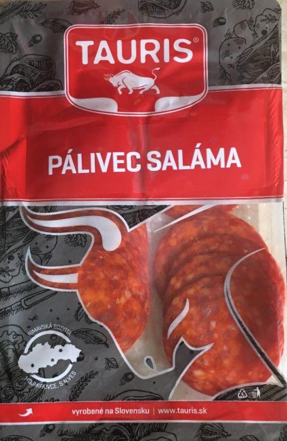 Fotografie - Pálivec saláma Tauris