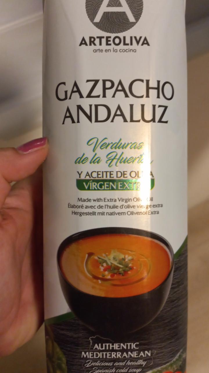 Fotografie - gazpacho andaluz