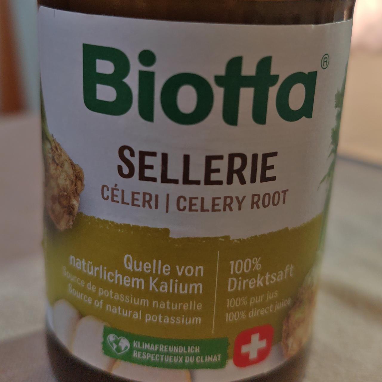 Fotografie - Sellerie Biotta