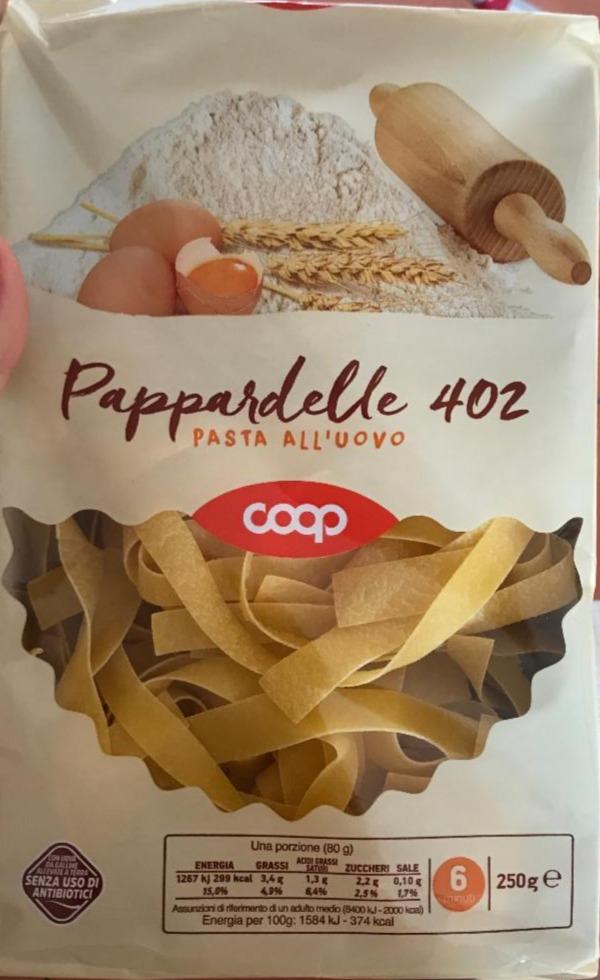 Fotografie - Pappardelle 402 Coop