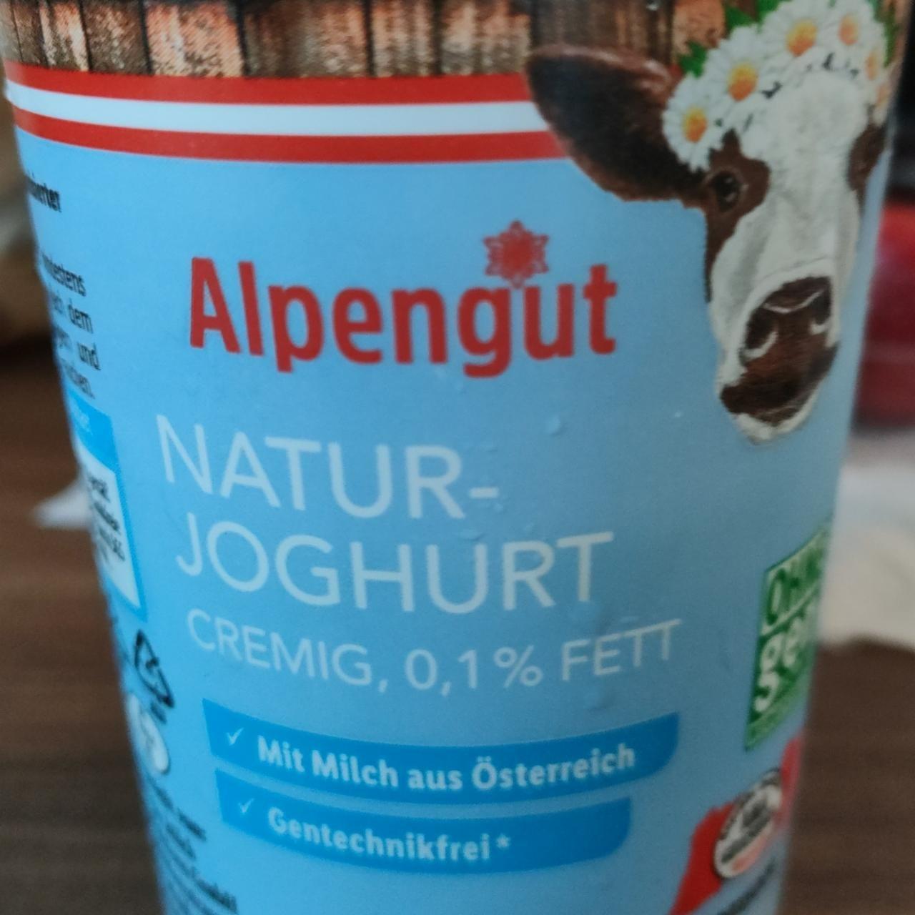 Fotografie - Natur Joghurt Alpengut 0.1% fett