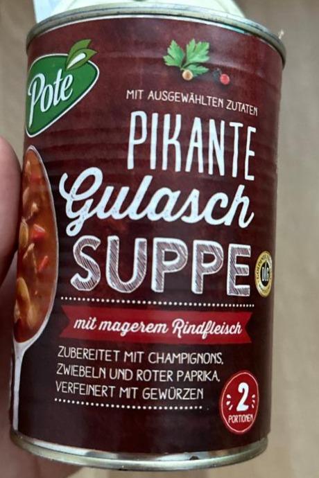 Fotografie - Pikante Gulasch Suppe Poté