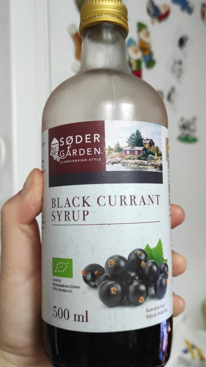 Fotografie - Black currant syrup Soder Garden