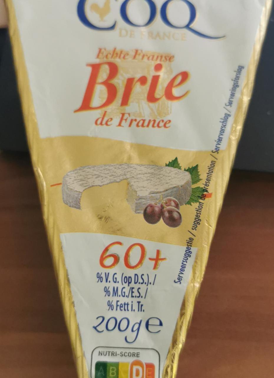 Fotografie - Brie de France COQ