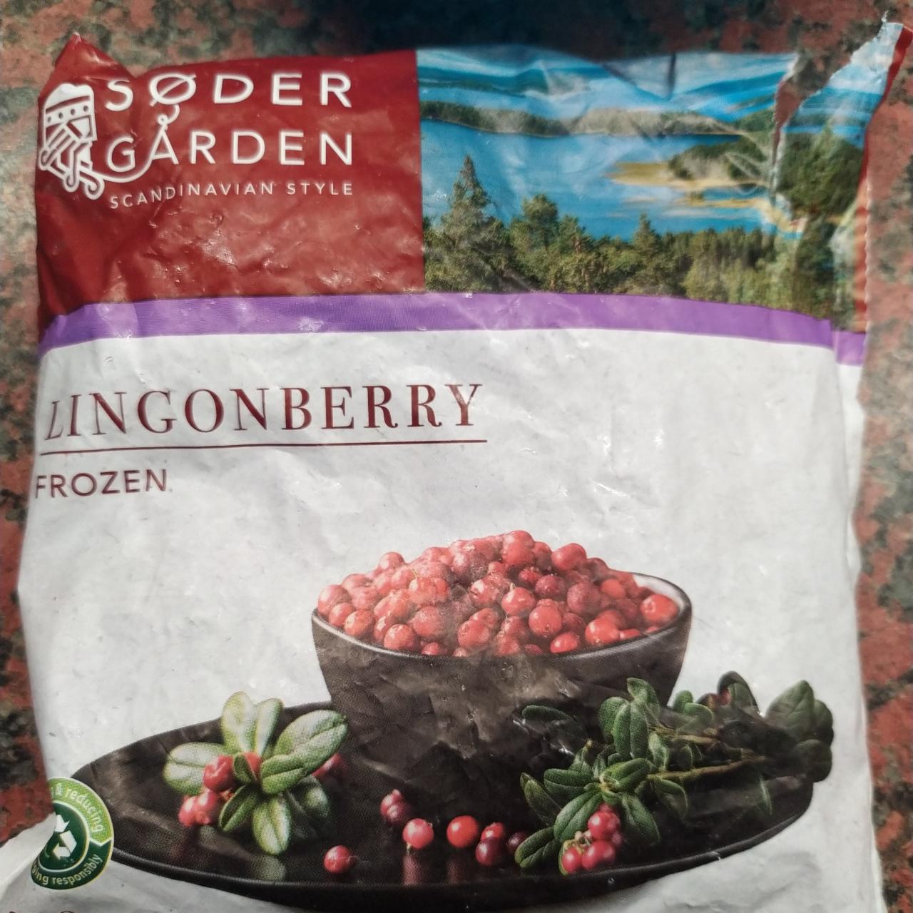 Fotografie - Lingonberry frozen Sødergården