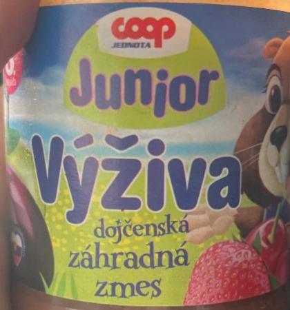 Fotografie - Junior výživa dojčenská záhradná zmes Coop Jednota