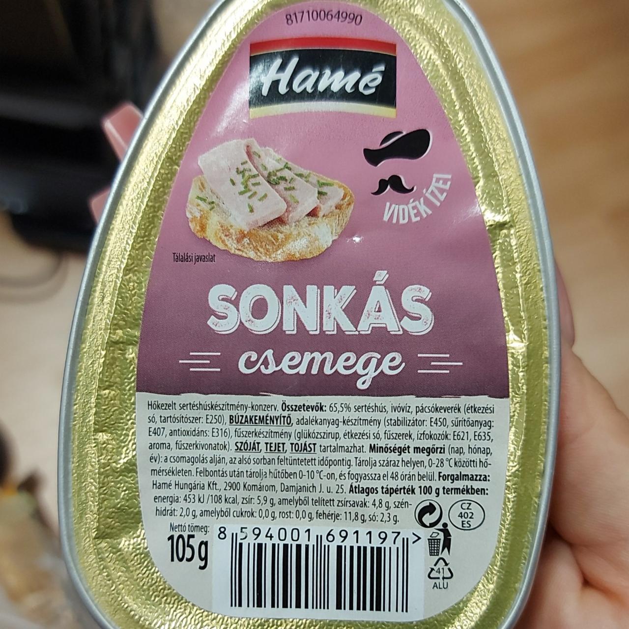 Fotografie - Sonkás csemege Hamé