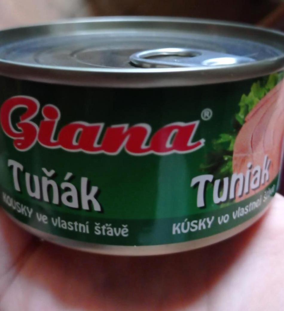 Fotografie - Tuniak kúsky vo vlastnej šťave Giana