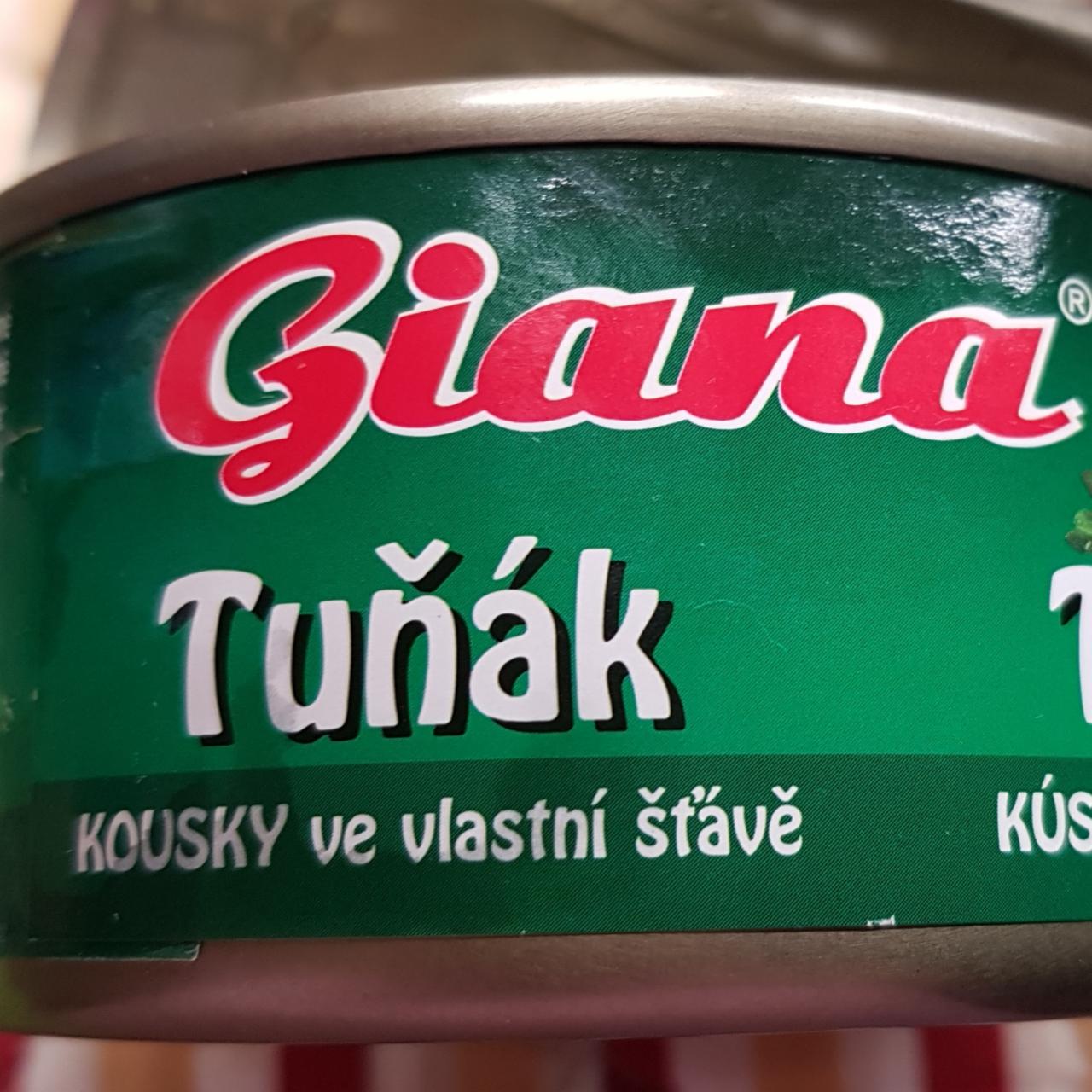 Fotografie - Tuniak kúsky vo vlastnej šťave Giana