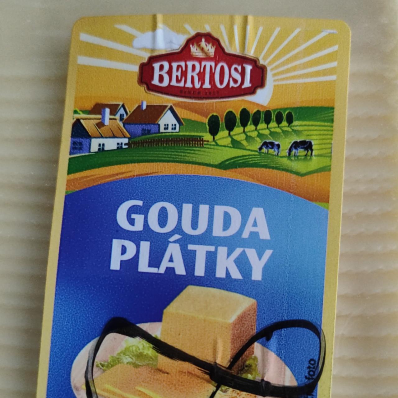 Fotografie - Gouda plátky Bertosi