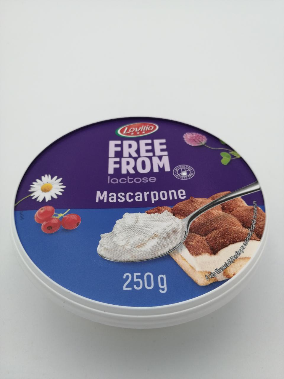 Fotografie - mascarpone lactose free Vemondo