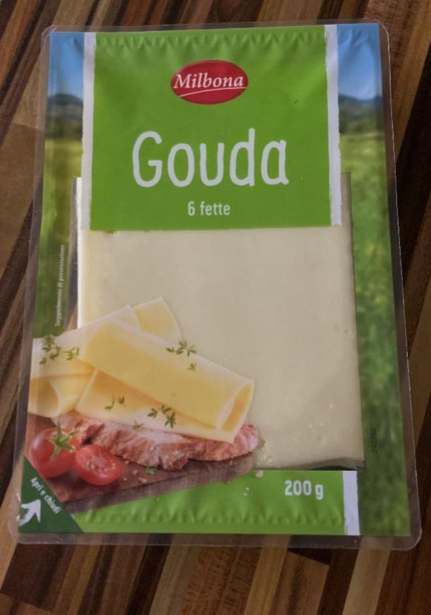 Fotografie - Gouda Milbona