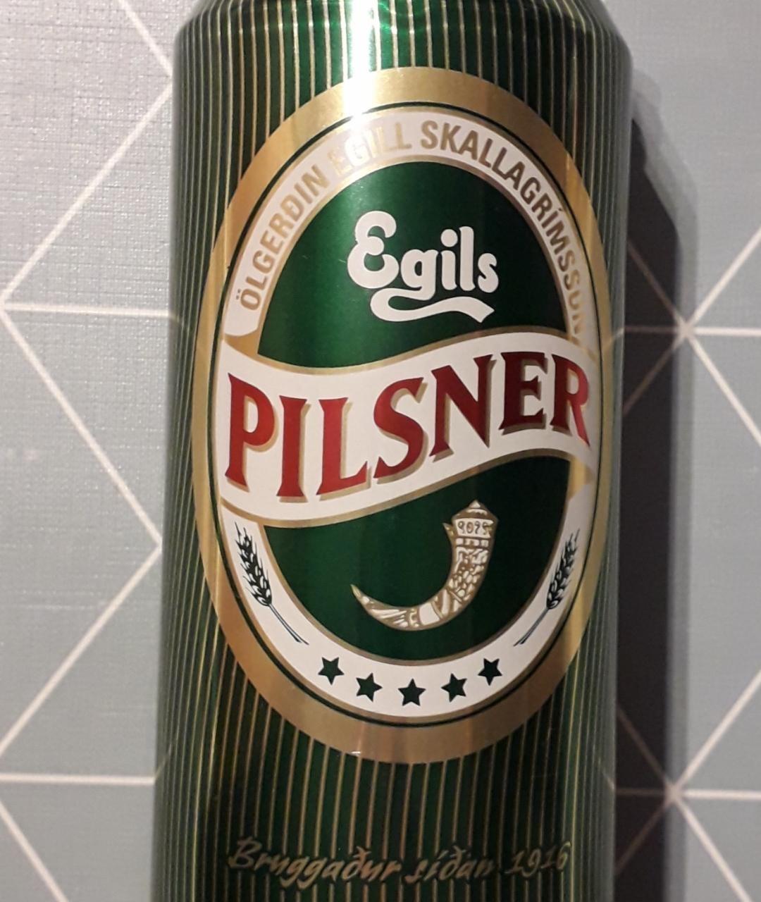 Fotografie - Pilsner Egils