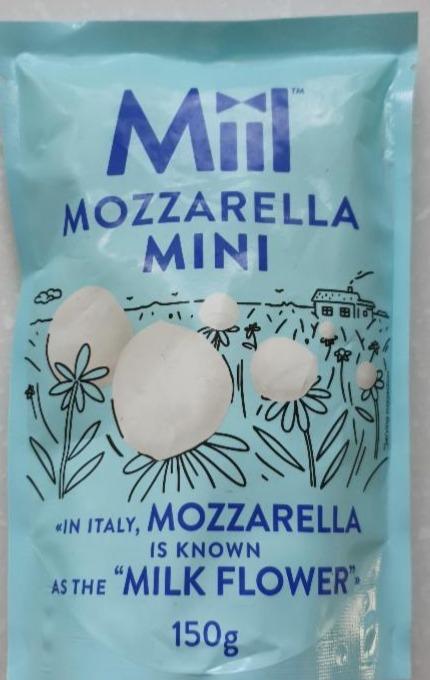 Fotografie - Mozzarella Mini Miil