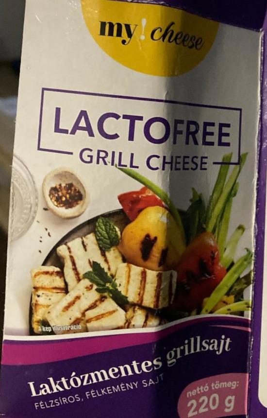 Fotografie - Lactofree Grill Cheese my!cheese