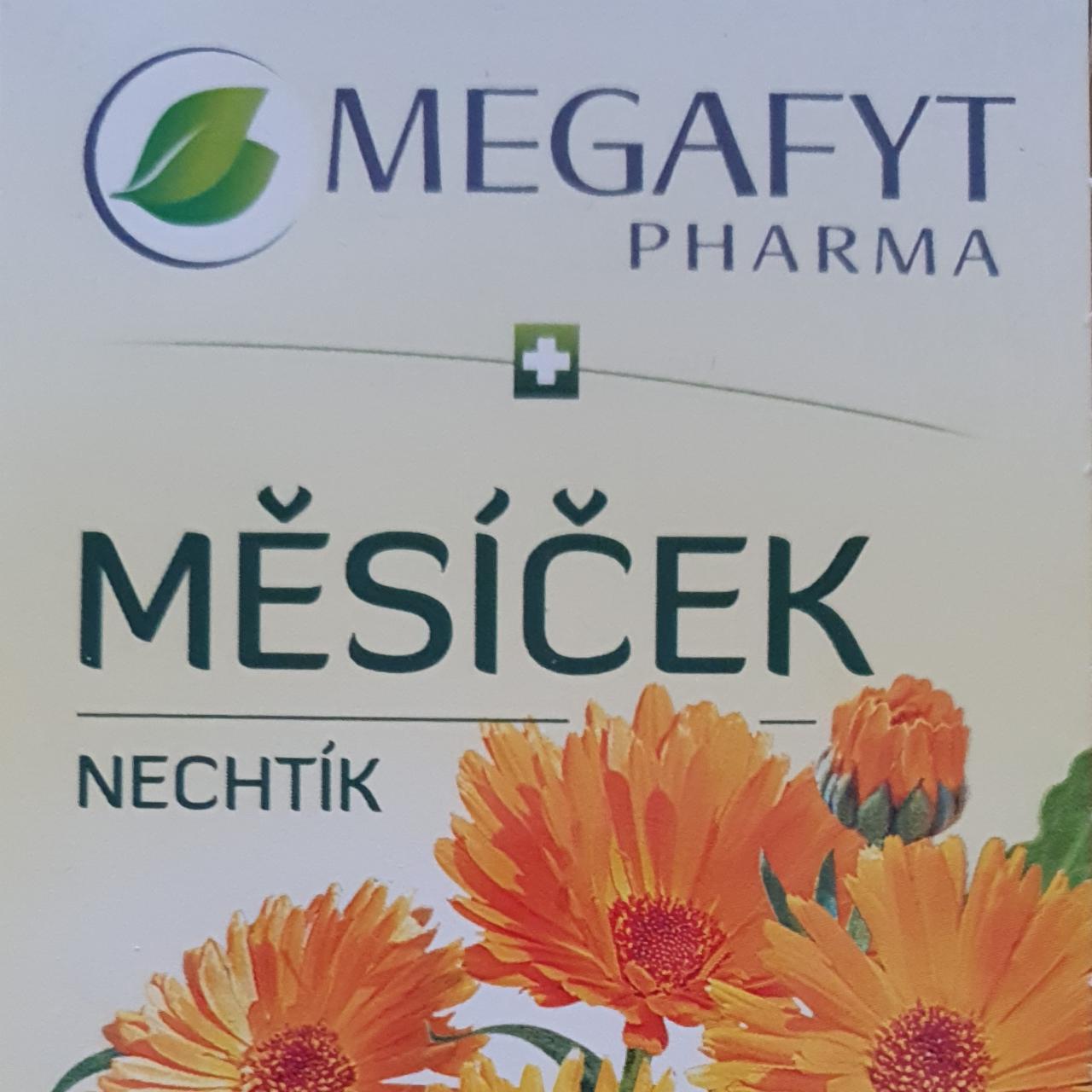 Fotografie - Měsíček nechtík Megafyt