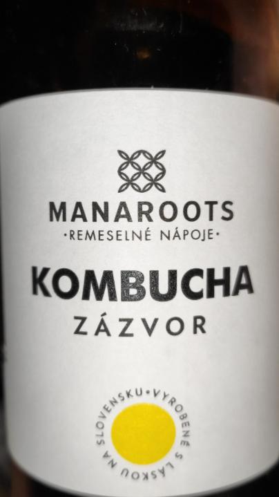 Fotografie - Kombucha zázvor Manaroots