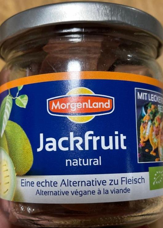 Fotografie - jackfruit natural morgenland