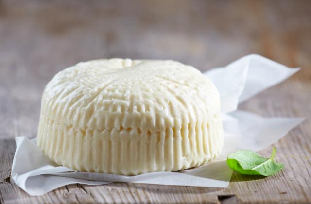 Fotografie - agrofarma čerstvý mliečny syr