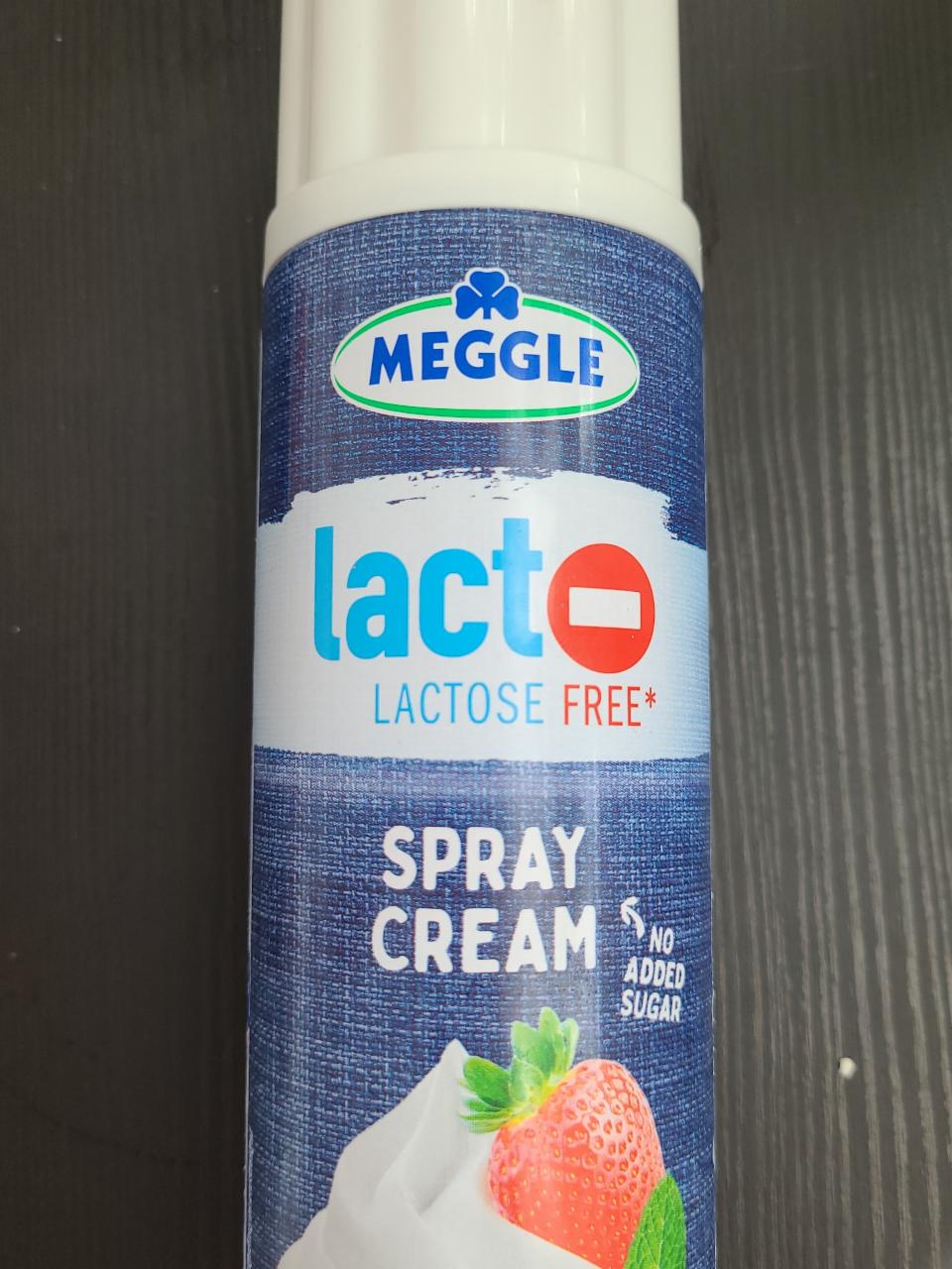 Fotografie - Spray cream Lactose free Meggle