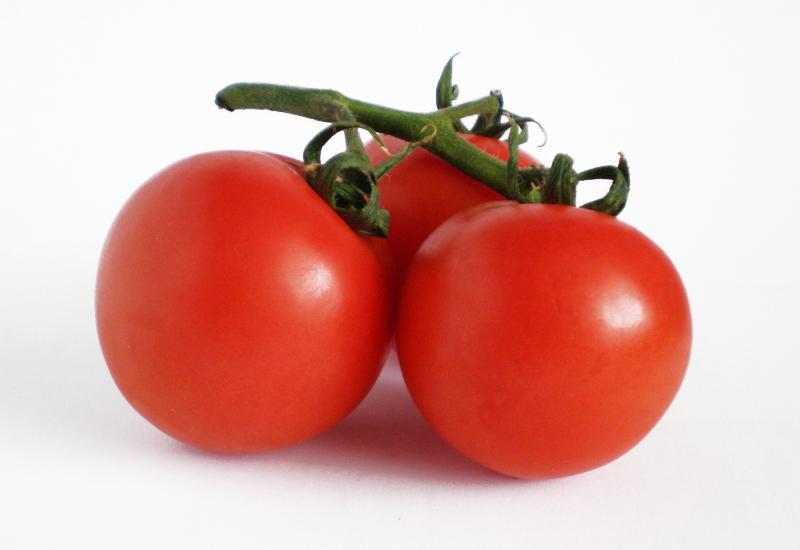 Fotografie - rajčiny / paradajky