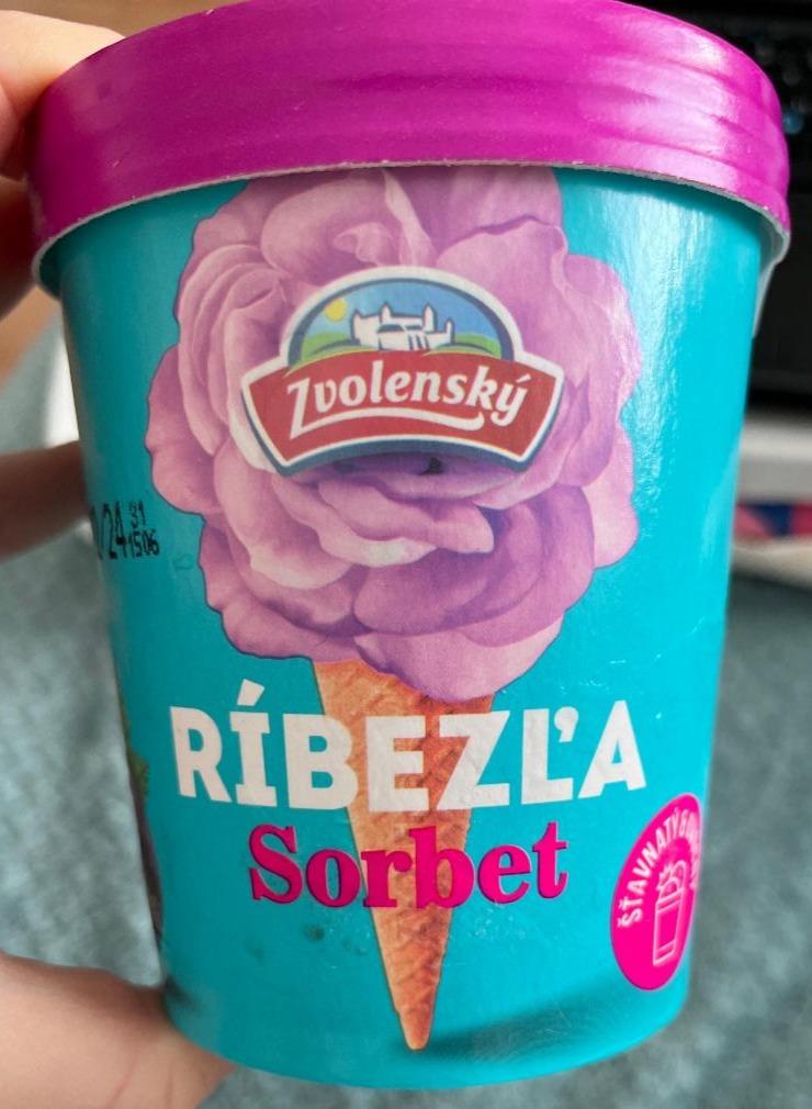 Fotografie - Ríbezľa Sorbet Zvolenský