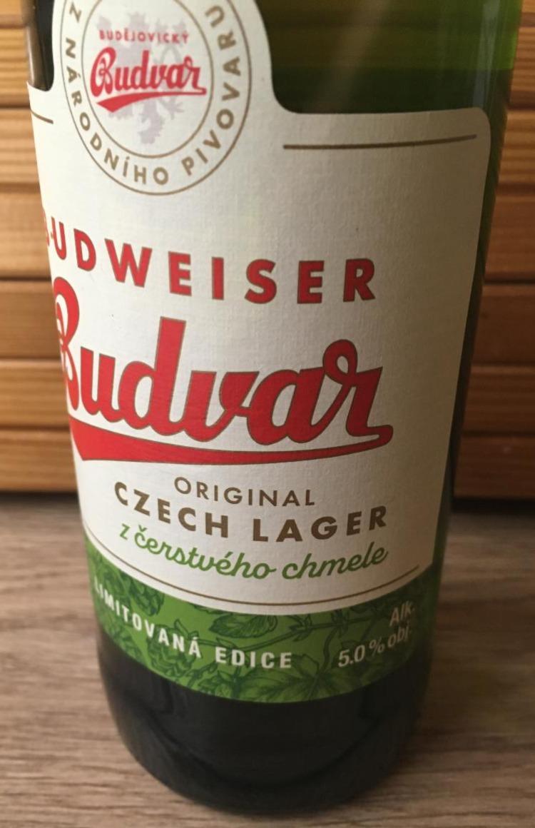 Fotografie - Czech Lager z čerstvého chmele Budweiser Budvar