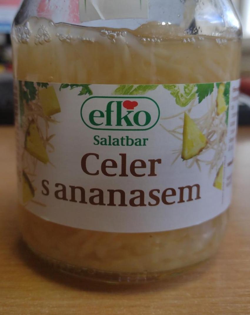 Fotografie - Efko Salátbar Celer s ananasem