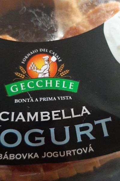 Fotografie - Ciambella Yogurt Jemné pečivo