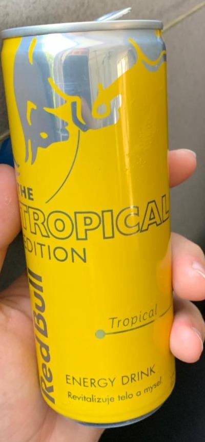 Fotografie - RedBull TROPICAL edition