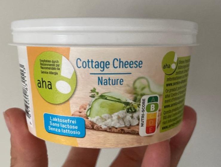 Fotografie - Cottage Cheese Nature Migros